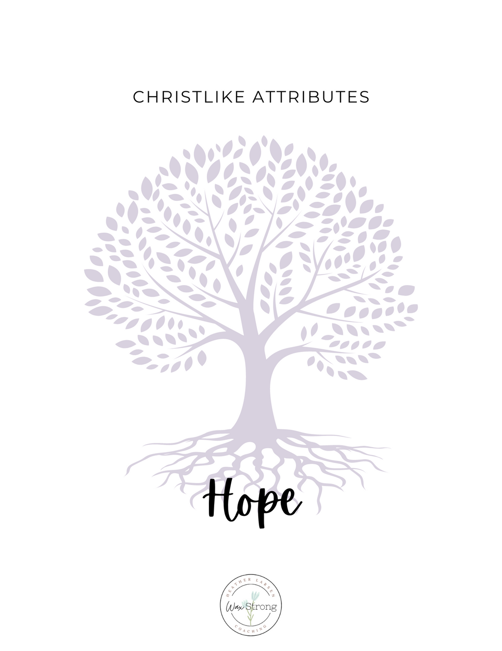 Christlike Attributes: Hope Workbook