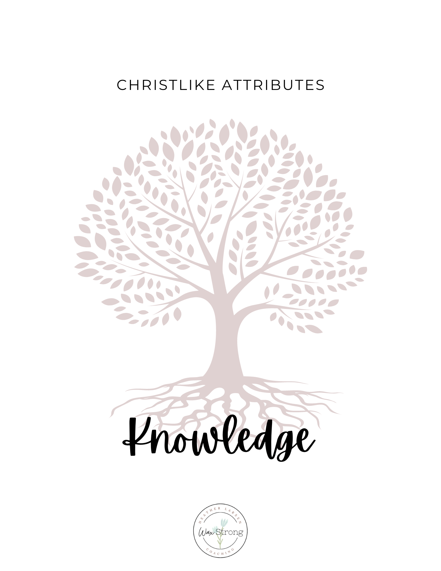 Christlike Attributes: Knowledge Workbook